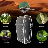 Terrarium en acrylique transparent en forme de cercueil pour l'élevage d'insectes, d'araignées et de geckos – Boîtier en acrylique au design personnalisé