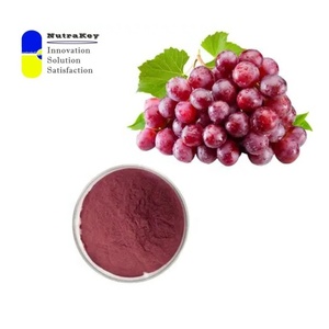 Estratto di Buccia d'Uva Premium in Polvere 30% Polifenoli, Antiossidante Naturale <span class=keywords><strong>per</strong></span> Integratori Alimentari e Cosmetici - Product Image 3