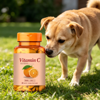 Comprimés de bonbons compressés à la vitamine C 000mg, complément nutritionnel pour soutenir l'immunité de tous les animaux de compagnie