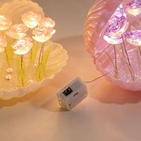 Kit DIY Veilleuse LED Coquillage Rose avec Perles Lumineuses Blanc Chaud, Décoration de Chevet Taille Moyenne, Cadeau pour Elle, Piles Incluses