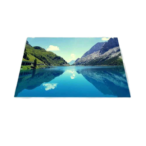 LTM220MT12 M220ZGE-L20 LTM220MT09 MT220WPM-N10 22inch TFT LCD Panel with Panel Mounting - Product Image 2