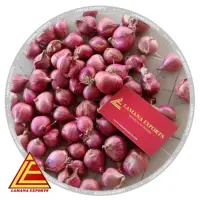 Arpacık Podisu-yeni mahsul hint soğan soğan taze taze soyulmuş ortak yuvarlak Liliaceous sebzeler 1 olgunluk 2.7 Cm 10 Kg