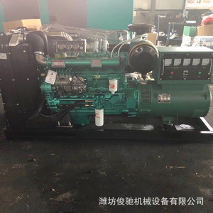 Groupe électrogène diesel 100 kW 1500 tr/min pour l'élevage en Weifang - Product Image 4