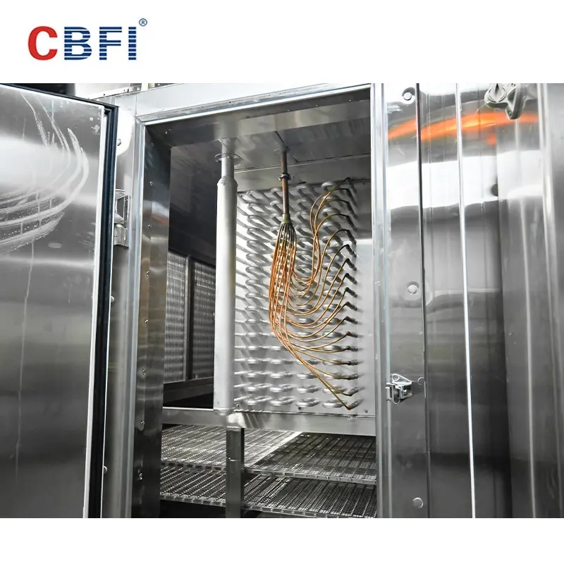 Factory Directly Supply Tunnel Freezer Iqf Frozen with 500/800/1000 Kg Per Hour For Shrimp