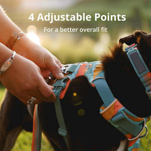 เสื้อกั๊กสุนัขน้ำหนักเบาสะท้อนแสงนุ่มและทนทานสามารถปรับแต่งขนาดได้ตามต้องการ - Product Image 5