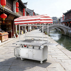 Carrito de Comida Móvil de 4 Ruedas para Exteriores, Acero Inoxidable, Convertible, Resistente a la Oxidación, con Calentador Integrado, Parrilla, Garantía de 2 Años, Multivoltaje, Fácil de Usar - Product Image 1