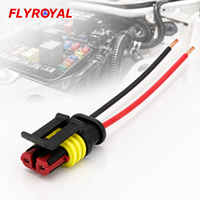 Kabel Harness Otomotif 2 Pin Tahan Air dengan Konektor Tertutup dan Pigtail untuk Peralatan Listrik Mobil