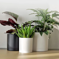 Pot Bunga Plastik Putih 7 Inci Classic Home & Garden dengan Lubang Drainase, Vas Bonsai, Aksesoris Tanaman untuk Penggunaan Luar Ruangan dan Dalam Ruangan