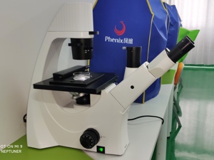 Microscope biologique inversé Phenix PH-XDS5 économique, équipé d'un excellent système optique pour la recherche scientifique et les universités - Product Image 5