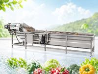 Commerciële groente- en fruitbelwasmachine van roestvrij staal voor transportband