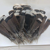 Proveedor de Plumas al por Mayor, Precio Económico, Excelente Calidad, Pluma de Cola de Pavo Salvaje Natural de 6-8 Pulgadas para Decoración