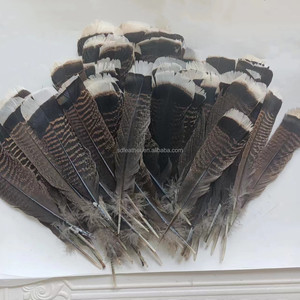 ขนนกไก่งวงธรรมชาติขนาด6-8นิ้วสำหรับตกแต่ง - Product Image 5