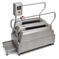 Lave-chaussures automatique professionnel Topwing avec barrières de sécurité intégrées, système d'alarme de niveau chimique, puissance 900W, garantie 1 an