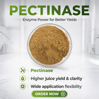 Pectinase, Enzyme Pectinolytique, Préparation d'Enzymes Polygalacturonases pour la Clarification des Jus et la Transformation du Vin