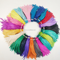 Plumes de coq blanchies et teintes, plumes de queue de coq, Coque Plumas pour fêtes, carnavals, DIY, vêtements, accessoires de décoration