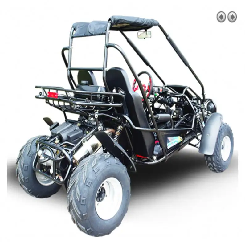 500cc Go Cart 4WD (BUGGYpro Trailmaster k1 k3 k5 k7 Go Karts-442)
