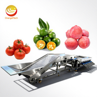 Machine de tri automatique de fruits et légumes ORME - Haute efficacité, multifonctionnelle, personnalisable, de qualité