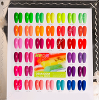 Ensemble de vernis à ongles professionnel en marque privée OEM, 15 ml, vente en gros, vernis à ongles en gel UV de haute qualité, à faire tremper