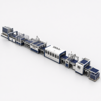 Ligne d'extrusion automatique de film solaire pour la fabrication de panneaux solaires avec capacité de production personnalisable