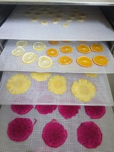 Chất Lượng Cao Tùy Chỉnh Kích Thước <span class=keywords><strong>Silicone</strong></span> Dehydrator Mat Không Dính <span class=keywords><strong>Silicone</strong></span> Mất Nước Tấm Trái Cây Nhà Máy Trực Tiếp Nhà Nướng - Product Image 4