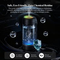 Humidificateur d'air à l'ozone pour voiture et petites pièces avec fonction de purification à l'ozone 2 en 1