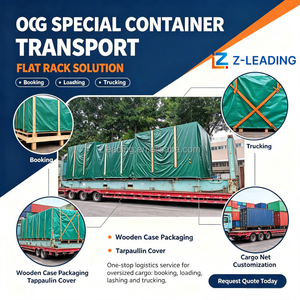 Agente de Transporte Marítimo de Carga, FBA, Japón, <span class=keywords><strong>Narita</strong></span>, Transporte de Carga Puerta a Puerta, DDP, Plataforma Plana - Product Image 3