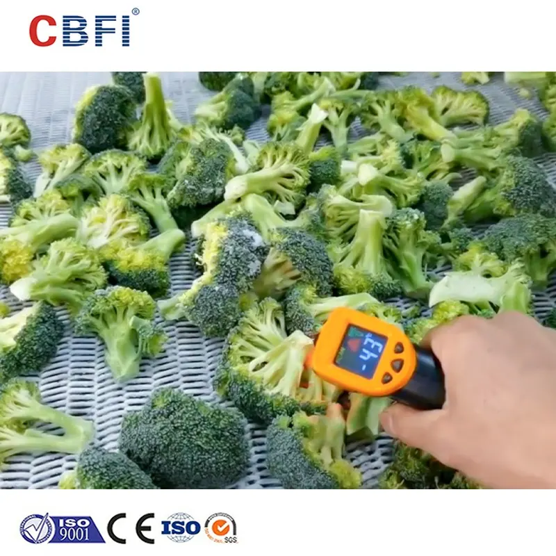Congelador de túnel de explosión rápida industrial IQF SUS316 para vegetales de brócoli