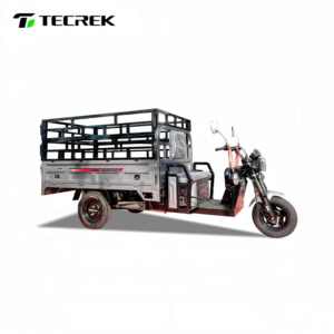 Tecrek รถสามล้อไฟฟ้าขนาดใหญ่สำหรับขนส่งรถสามล้อไฟฟ้า3ล้อบรรทุกของได้ - Product Image 2