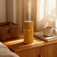 Diffuseur d'huiles essentielles portable de luxe personnalisé, rechargeable par USB, mini, sans eau, pour voiture et maison
