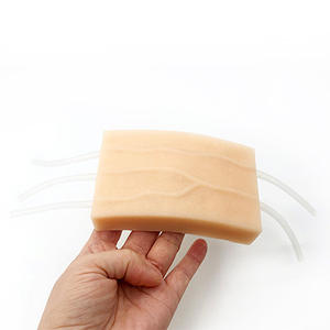 โมดูลฝึกหัดการฉีดยาเข้าเส้นเลือดแบบรูปตัว Y สำหรับการฝึกเกี่ยวกับการเก็บเลือดและฝึกเจาะเลือด - Product Image 2