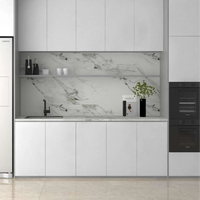 Pierre frittée en marbre blanc panda artificiel 3200mm grandes dalles pour armoire