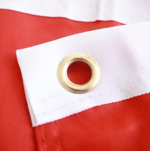 Vente en gros personnalisée de haute qualité avec œillets en laiton 100% polyester 3*5 pieds drapeaux érythréens drapeau national bannière de pays - Product Image 4
