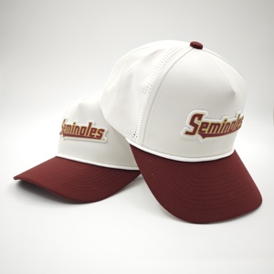 Cappello da Golf a Cinque Pannelli Impermeabile con Emblema in Silicone Personalizzato, Basso MOQ, OEM, Perforato al Laser, Traspirante, Techwear, Utilitario - Product Image 4