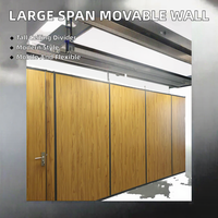 Salle de conférence multifonctionnelle d'hôtel avec murs de séparation mobiles, pliables et opérationnels, cadres en aluminium, panneaux en MDF