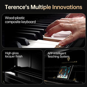 Piano Numérique TERENCE AIP-913 <span class=keywords><strong>Clavier</strong></span> Électronique 88 Touches Lestées à Marteau - Product Image 2