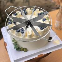 Coupe-gâteau en plastique écologique, plateau tournant, coupe-tarte, marqueur de portions égales, diviseur de pain, pâtisserie, fromage, pizza