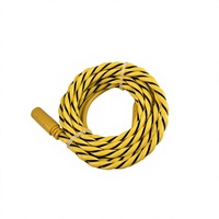 Détecteur de fuite d'eau par positionnement Xinjian SW-DW01 DC 10-30V, transmetteur de localisation de type câble RS485 Modbus pour centre de données, garantie 1 an