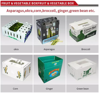 Boîtes en plastique pour légumes et fruits : asperges, raisins, okra, maïs – Boîtes en plastique ondulé
