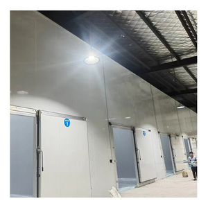 Conteneur Mobile <span class=keywords><strong>Chambre</strong></span> Froide de Stockage Congélateur <span class=keywords><strong>Chambre</strong></span> Froide Walk in Cooler Salle de Stockage pour le Stockage des Aliments - Product Image 6