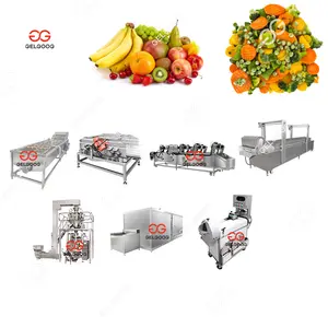 Gelgoog 500kg/h Customized Automatic Freezing Line Iqf Frozen Fruit and Vegetable Production Line