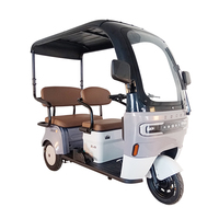 2025 pas cher 3 roues E cyclomoteur 650w Tricycle électrique avec auvent pour adulte