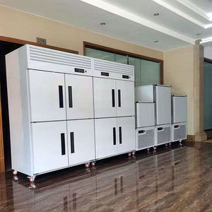 Congelatore Commerciale a Shock per Tonno e Salmone, <span class=keywords><strong>con</strong></span> Vassoi in Acciaio Inossidabile, Armadio Refrigeratore Istantaneo a Ventilazione Forzata - Product Image 4