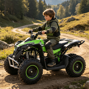 <span class=keywords><strong>Quad</strong></span> <span class=keywords><strong>électrique</strong></span> ATV <span class=keywords><strong>1000W</strong></span> 48V <span class=keywords><strong>36V</strong></span> pour enfants, tout-terrain, transmission par chaîne - Product Image 3