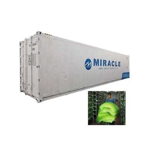 Contenedores de Envío <span class=keywords><strong>para</strong></span> Cultivos Hidropónicos, Máquina de Germinación de Forraje, Produce Microgreens/ Germinados de Cebada, Maíz y Trigo <span class=keywords><strong>para</strong></span> Alimentación Avícola - Product Image 5