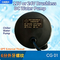 Pompe à eau à flux direct à moteur CC 88 W pour circulation de liquide de refroidissement, basse pression, contrôle entièrement automatique, électrique