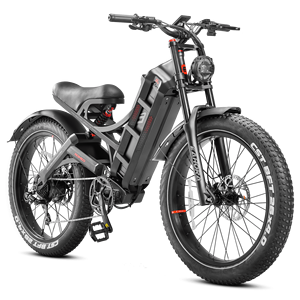 Vélo électrique Eahora Romeo Pro personnalisable avec moteur puissant 2*120n-M 48v 60ah, batterie grande capacité, cadre en acier, modèle Mountain Romeo Romeo R - Product Image 3