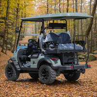 Batterie de chariot de golf 48 volts à décharge profonde pour 3 à 4 personnes, roues et pneus de rechange pour buggy de golf électrique
