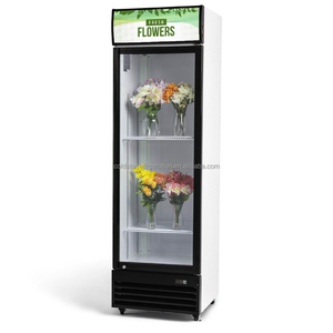 Refrigerador vertical de una sola puerta para exhibición de flores, gabinete de conservación de flores para floristería, vitrina de exhibición de flores con puerta de vidrio - Product Image 6