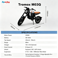 ApexJoy Tromox M03Q Elektrikli Motosiklet 2500W Yuvarlak Far Kahverengi Seleli İthalatçı Sözleşmeli Üretim