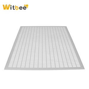 Queen Excluder en plastique 51*41cm Witbee modèle QE-5 nouvel équipement d'apiculture vente chaude aux états-unis - Product Image 3